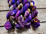 “Whimsical Wonderland" Mini Skein